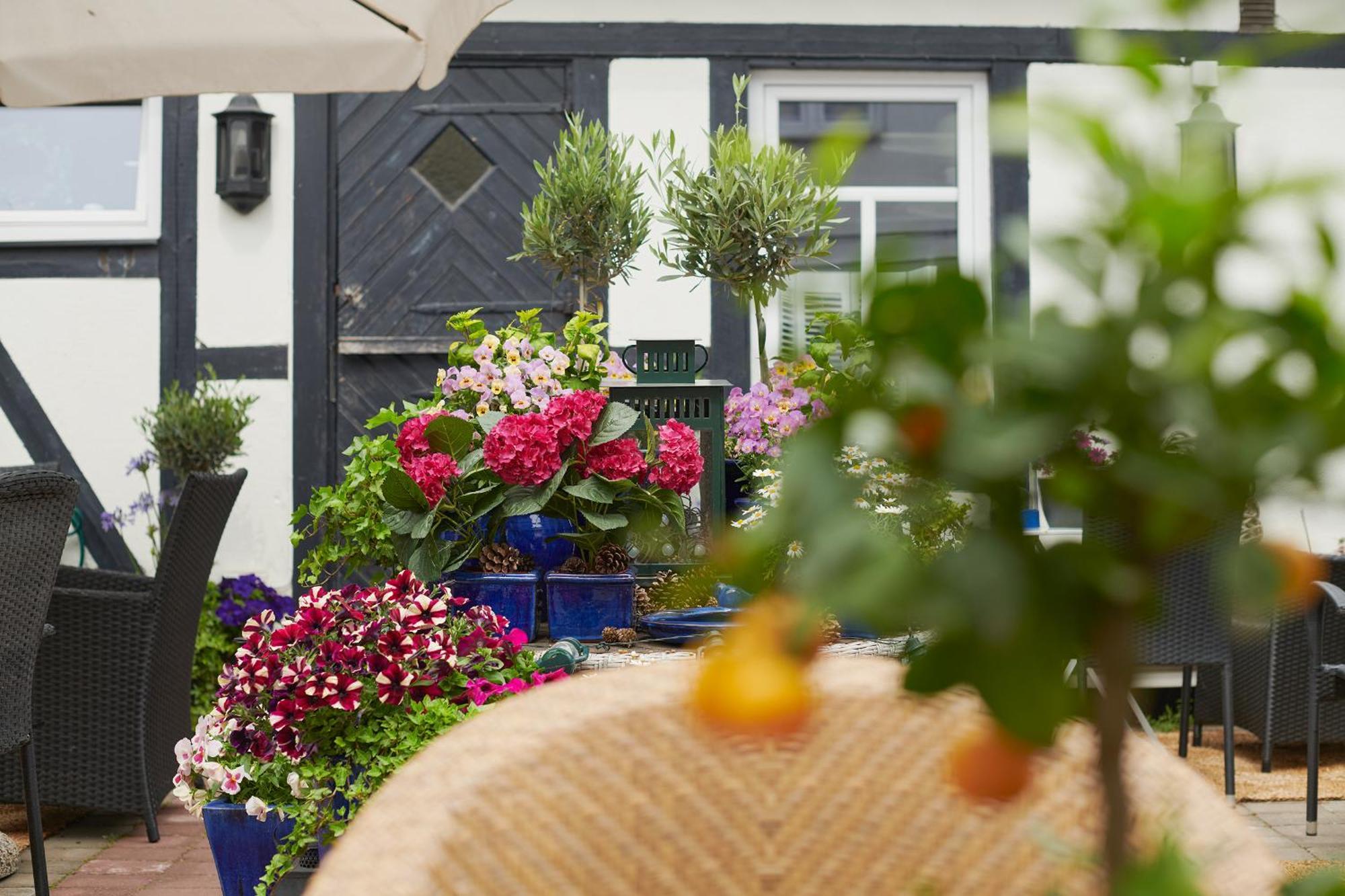 Hotell Baeckagarden Ystad Exterior photo