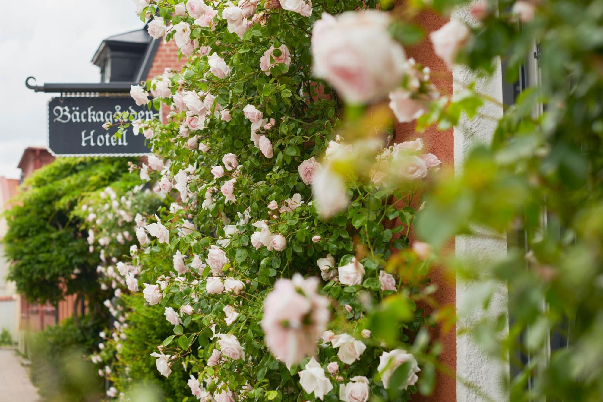 Hotell Baeckagarden Ystad Exterior photo